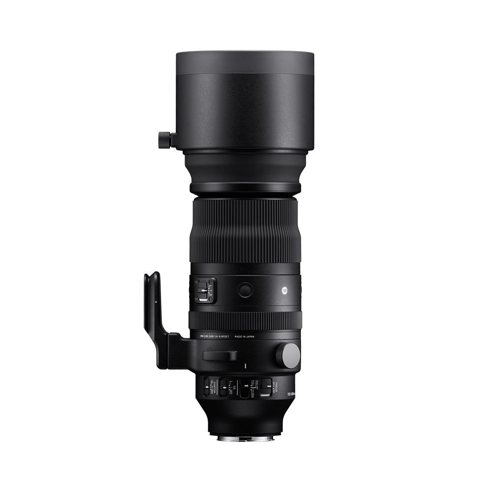 SIGMA 150-600mm F5-6.3 DG DN OS | Sports