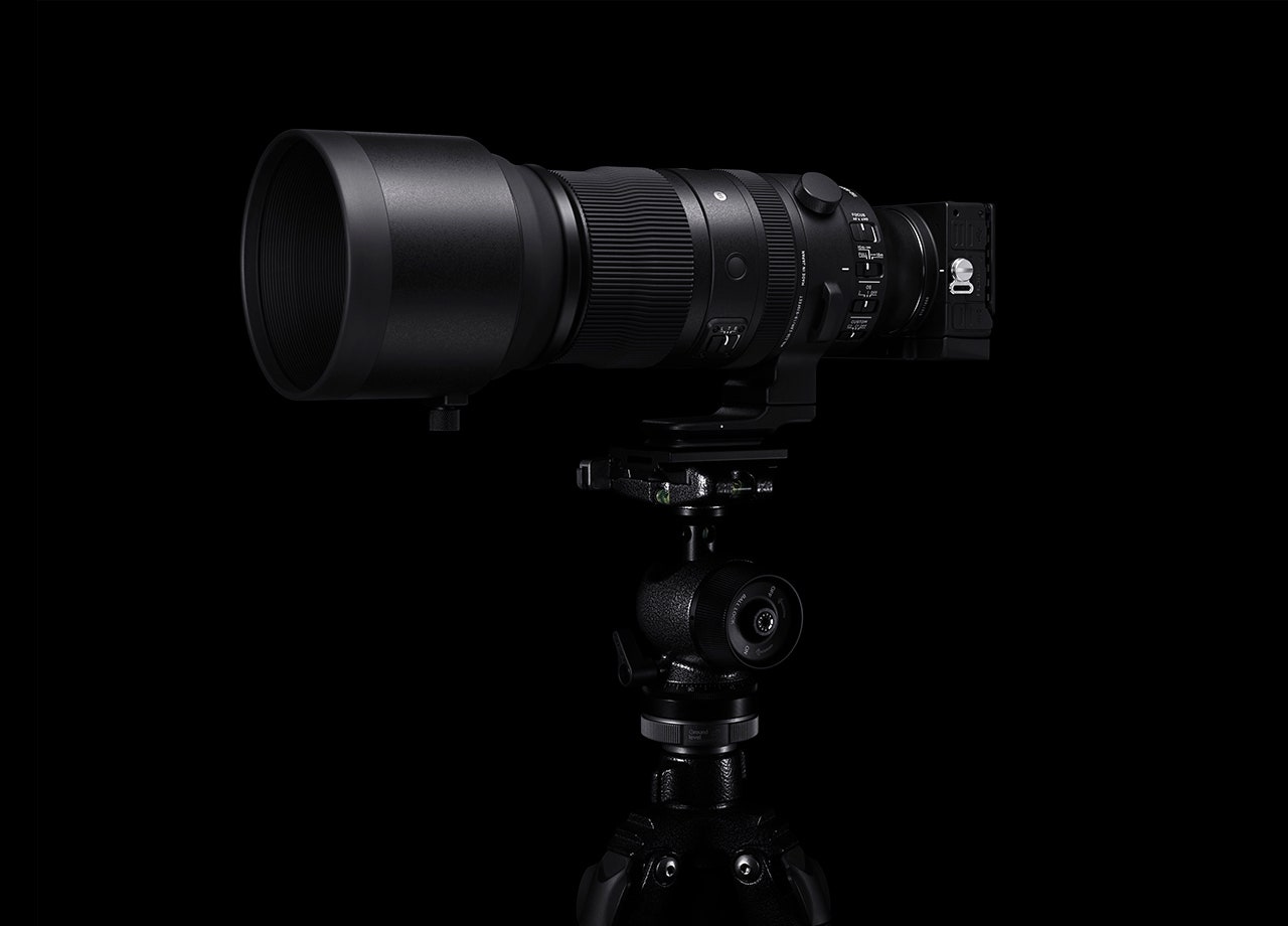 SIGMA 150-600mm F5-6.3 DG DN OS | Sports